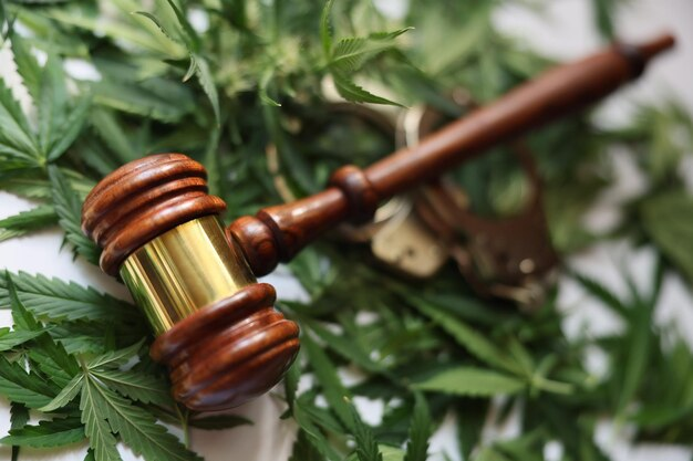 Arkansas and Its Dance with the Green Leaf: Understanding Weed Laws in Arkansas